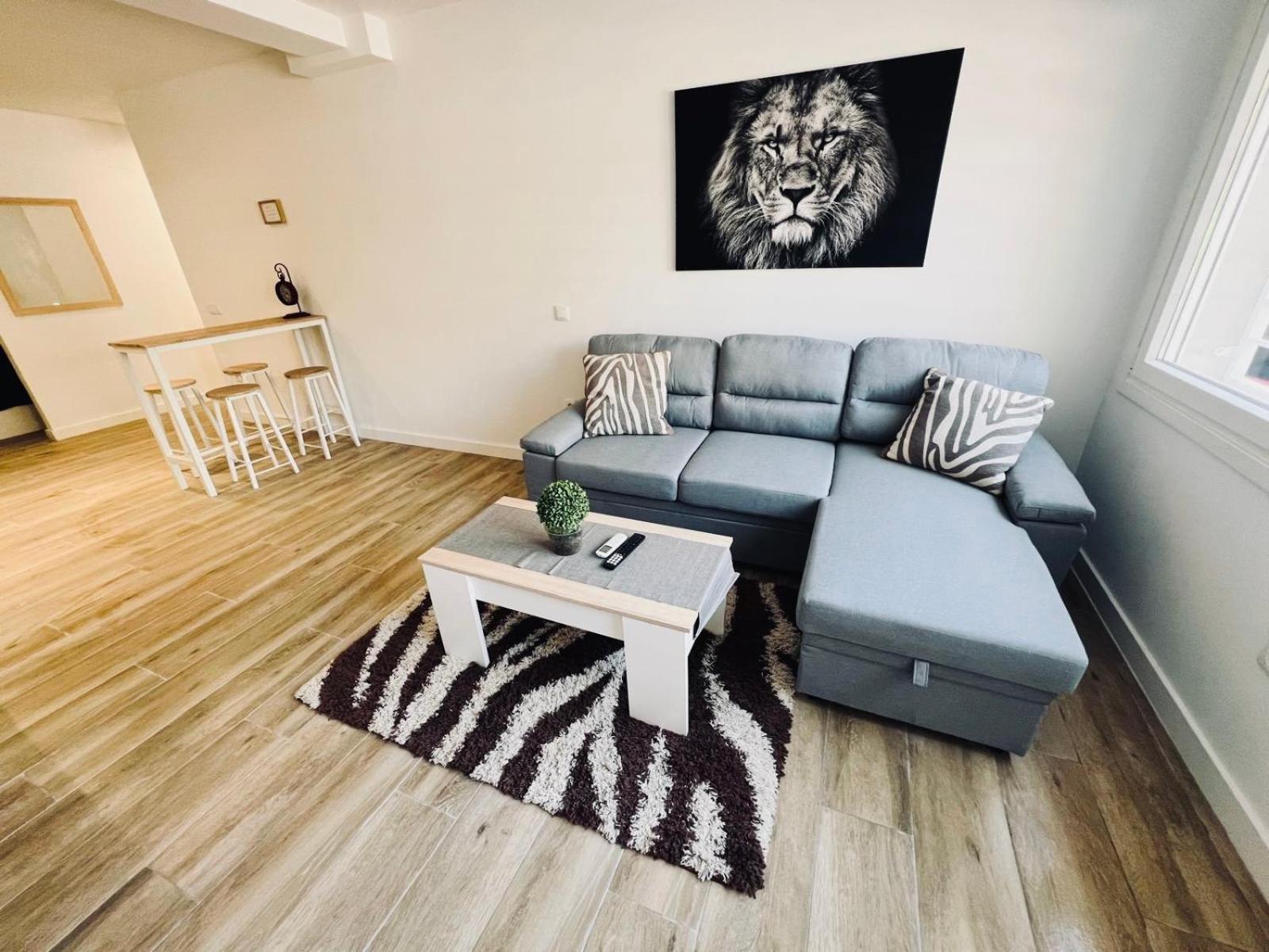 Apto 1 Leones Con Wifi Y Netflix Alcobendas